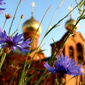 Письмо Отца Серафимия Письмо Отца Серафимия