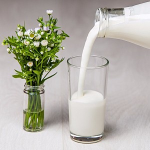 Женская диета глазами желудка
